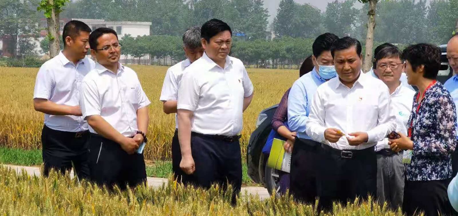 �춹Ǯ�� - ��ȫ�ɿ��ĸ����ʽ����Ǯ��