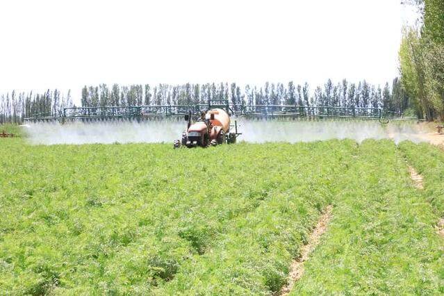 ºì¶¹Ç®°ü - °²È«¿É¿¿µÄ¸öÈË×ʽð¹ÜÀíÇ®°ü ºì¶¹Ç®°ü - °²È«¿É¿¿µÄ¸öÈË×ʽð¹ÜÀíÇ®°ü