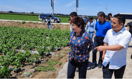 红豆钱包 - 安全可靠的个人资金管理钱包 红豆钱包 - 安全可靠的个人资金管理钱包