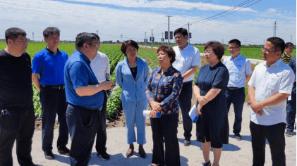 红豆钱包 - 安全可靠的个人资金管理钱包 红豆钱包 - 安全可靠的个人资金管理钱包