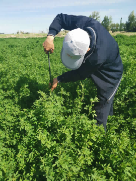 �춹Ǯ�� - ��ȫ�ɿ��ĸ����ʽ����Ǯ��