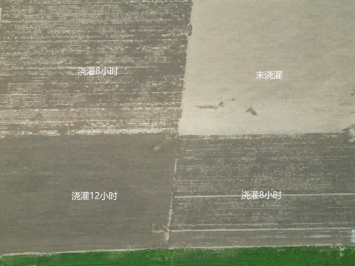 ºì¶¹Ç®°ü - °²È«¿É¿¿µÄ¸öÈË×ʽð¹ÜÀíÇ®°ü ºì¶¹Ç®°ü - °²È«¿É¿¿µÄ¸öÈË×ʽð¹ÜÀíÇ®°ü