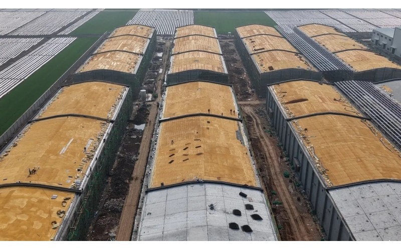 �������ȣ�����ũ������һ����ϲӭ�����ź족