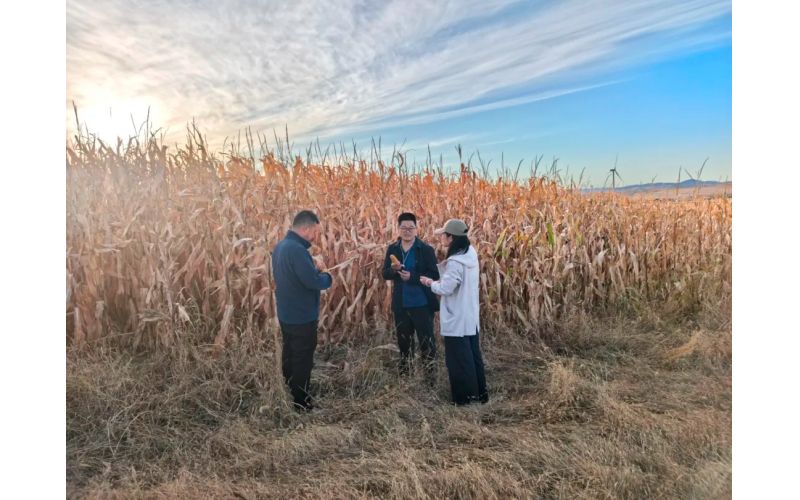 ˫���ڸڣ��¾�������ũ���˵�ÿһ�ݼ���