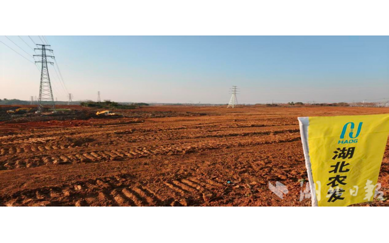 ��������ǵ�����ɷ�������ͨ�� �ε�����조�����桱�߱�׼ũ��